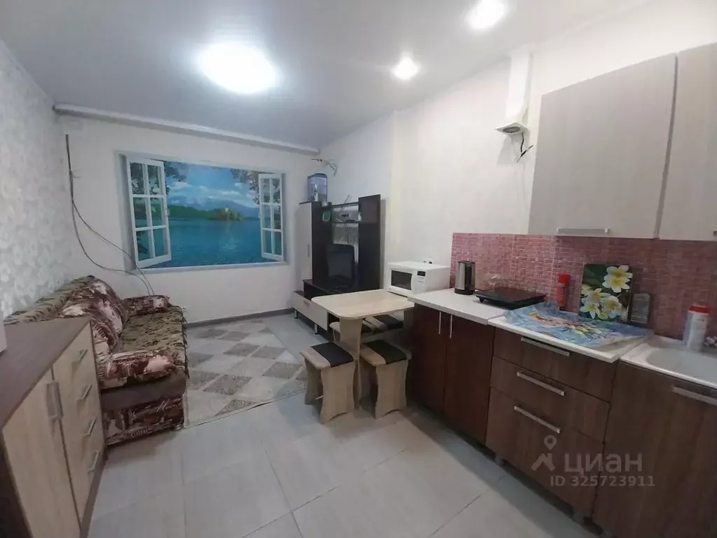 Студия Краснодарский край, Анапа ул. Ленина, 180Ак13 (24.1 м) - Фото 1