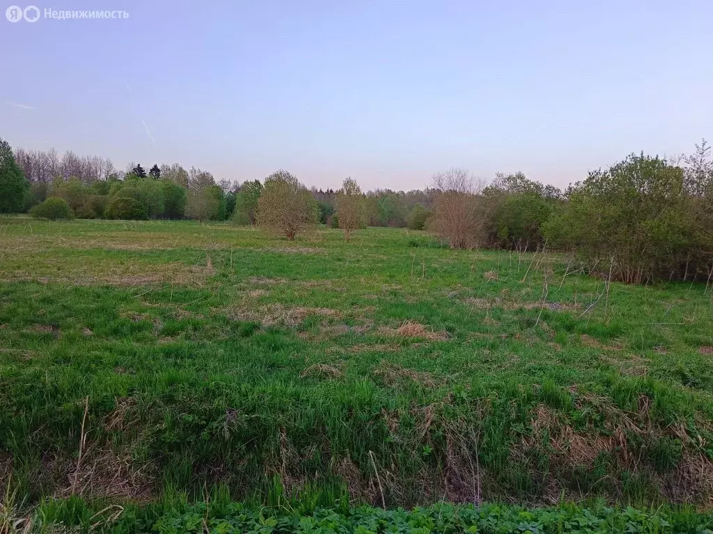 Участок в Ленинградская область, Волхов (10.1 м) - Фото 2