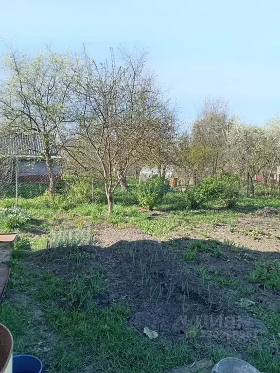 Дом в Нижегородская область, Большемурашкинский муниципальный округ, ... - Фото 2