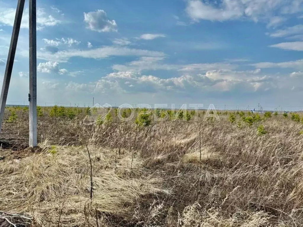 Участок в Тюменская область, Тюменский муниципальный округ, с. ... - Фото 2