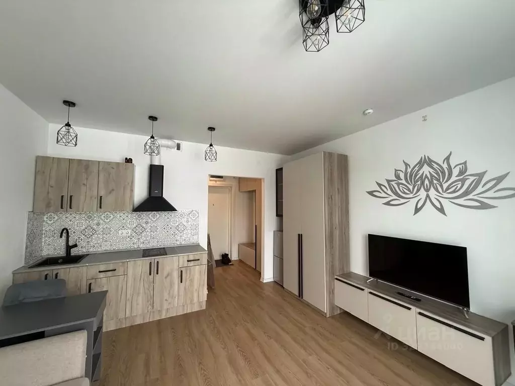 Студия Москва проезд Стройкомбината, 1 (23.0 м) - Фото 1