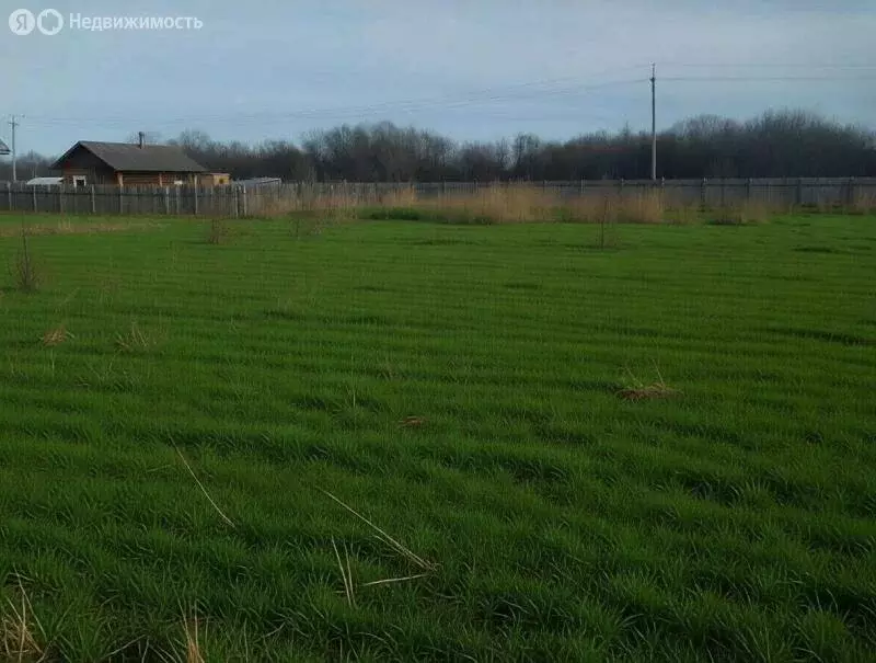 Участок в село Хомутово, ДНТ Солнечное, Светлая улица (10 м) - Фото 1