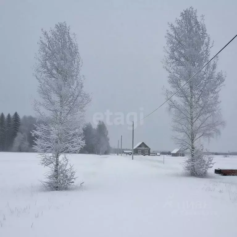 Участок в Ульяновская область, Чердаклинский район, Мирновское с/пос, ... - Фото 1