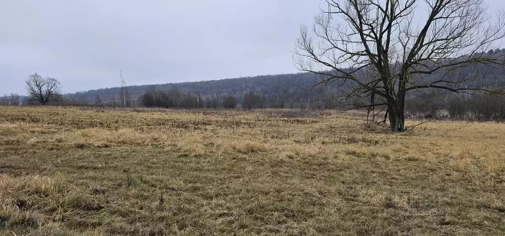Участок в Московская область, Луховицы  (26.95 сот.) - Фото 0
