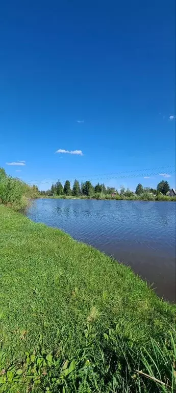 Дача 30 м на участке 11 сот. - Фото 0