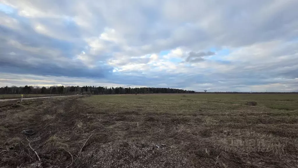 Участок в Московская область, Балашиха Щелковское ш., 233 (13.0 сот.) - Фото 1