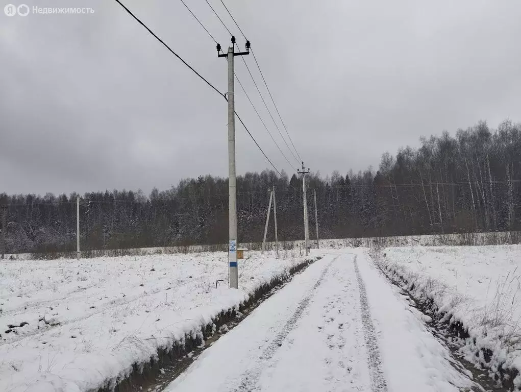 Участок в Дмитровский городской округ, дачный посёлок Раменье (6 м) - Фото 1