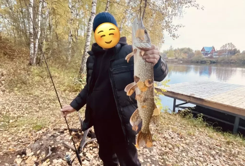 Участок в Московская область, Бронницы  (6.0 сот.) - Фото 1