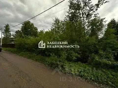 Участок в Ленинградская область, Гатчинский муниципальный округ, ... - Фото 1
