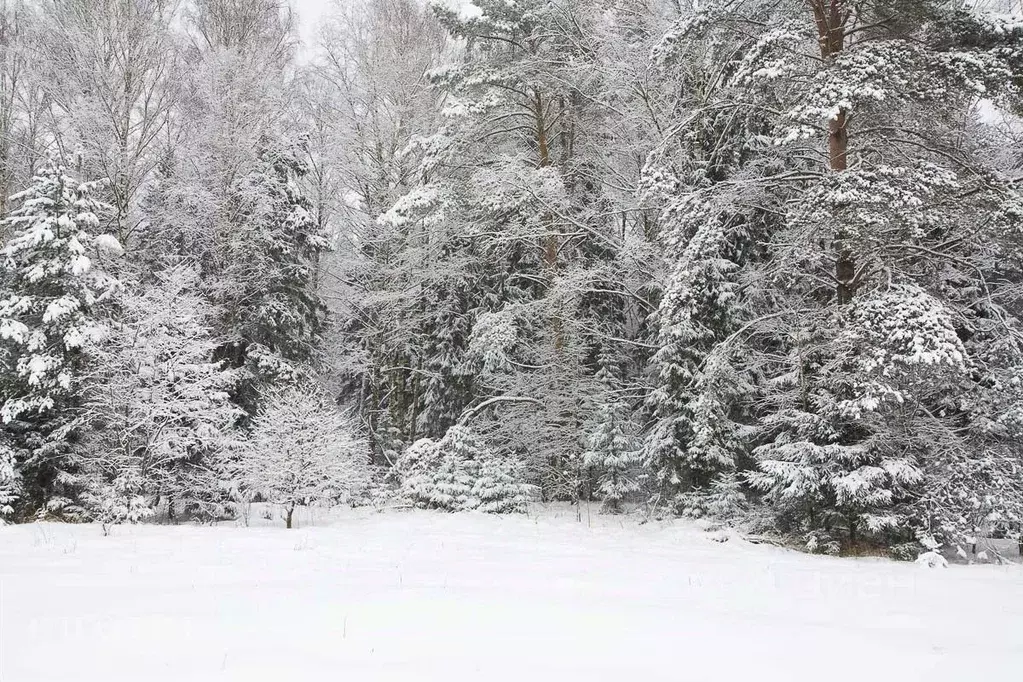 Участок в Московская область, Одинцовский городской округ, пос. ... - Фото 1