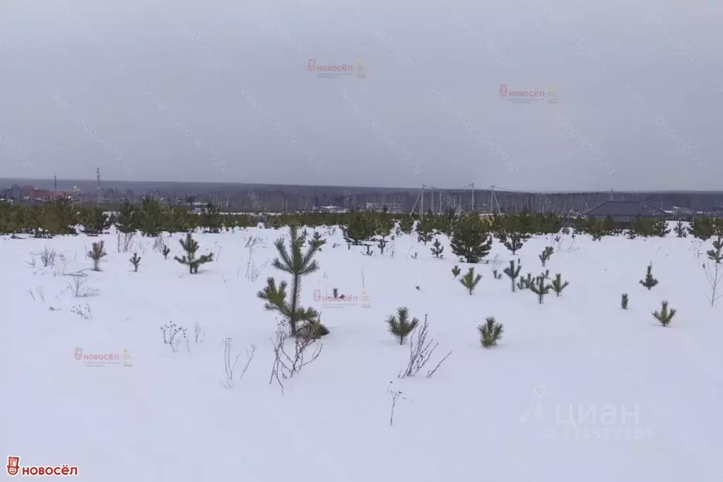 Участок в Свердловская область, Березовский городской округ, пос. ... - Фото 1