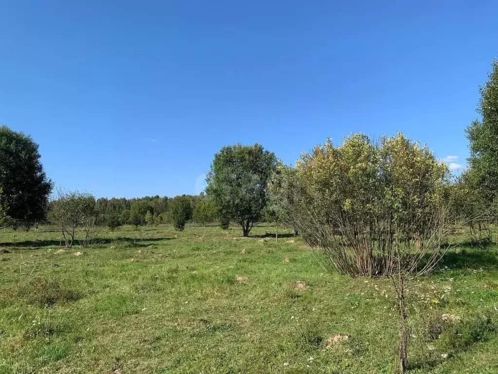 Участок в Московская область, Щелково городской округ, д. Мосальское  ... - Фото 0