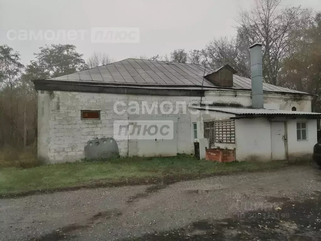 Производственное помещение в Тамбовская область, с. Сампур ул. Мира ... - Фото 0