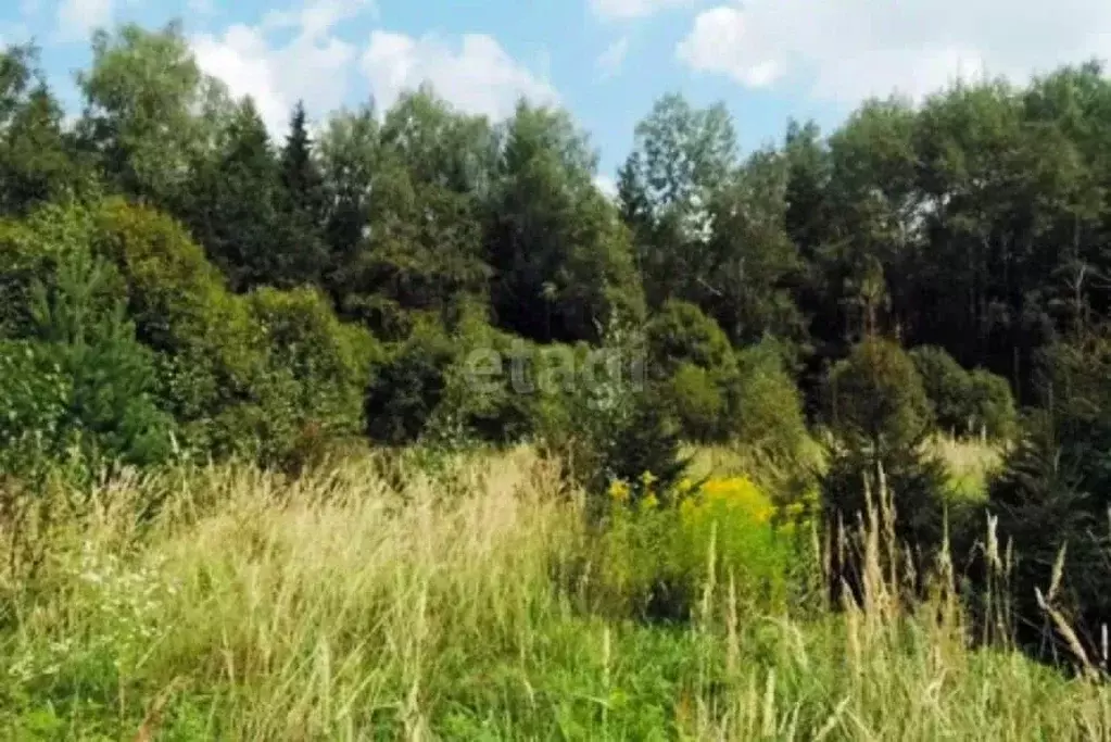 Участок в Волгоградская область, Среднеахтубинский район, Клетское ... - Фото 1