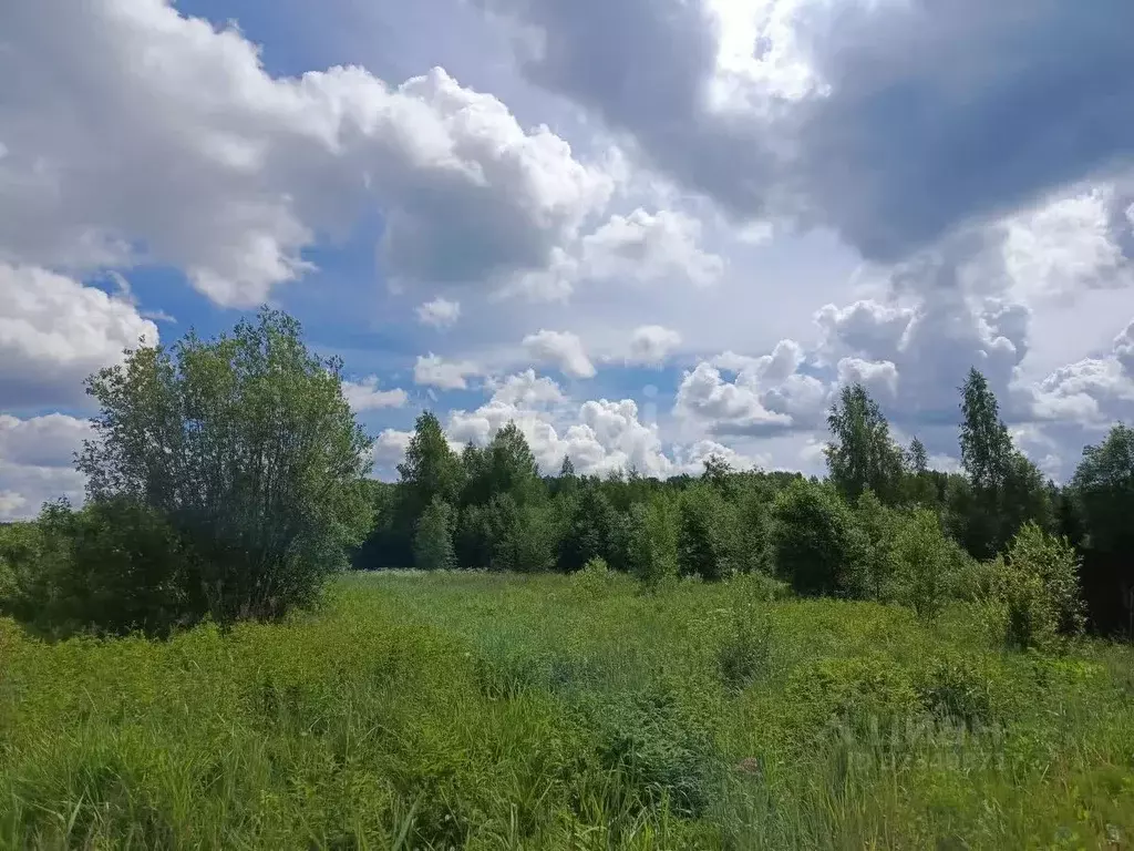 Участок в Ленинградская область, Кириши  (10.0 сот.) - Фото 1