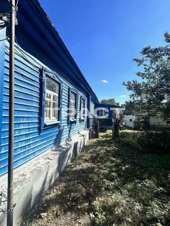 Дом в Воронежская область, Панинский район, Краснолиманское с/пос, с. ... - Фото 2