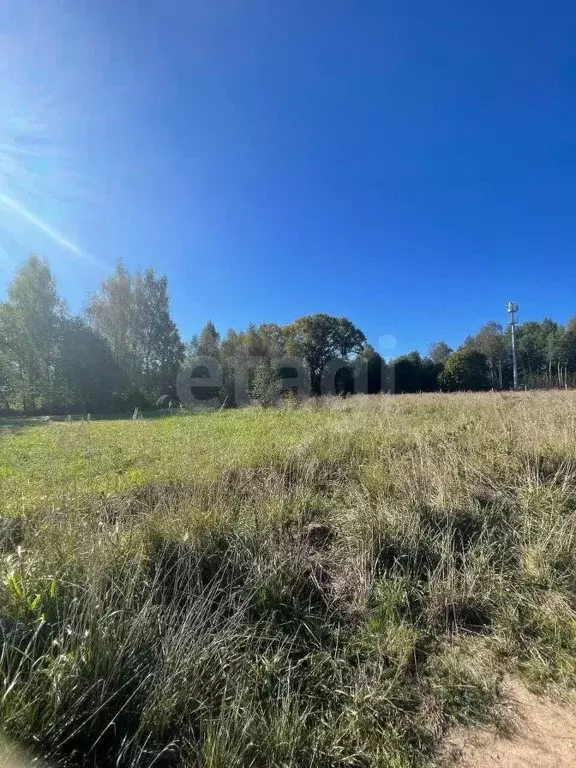 Участок в Ярославская область, Ярославский муниципальный округ, д. ... - Фото 1