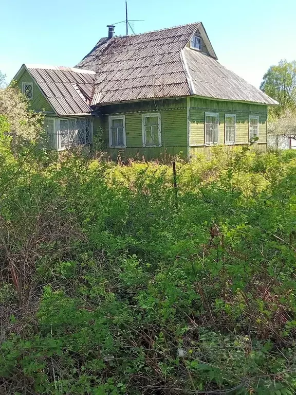 Участок в Ленинградская область, Ломоносовский район, Ропшинское ... - Фото 1