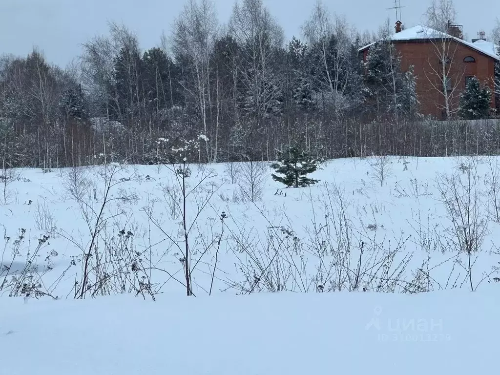 Участок в Московская область, Солнечногорск городской округ, д. ... - Фото 0