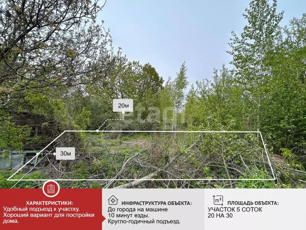 Участок в Брянская область, Брянский район, Мичуринское с/пос, ... - Фото 1