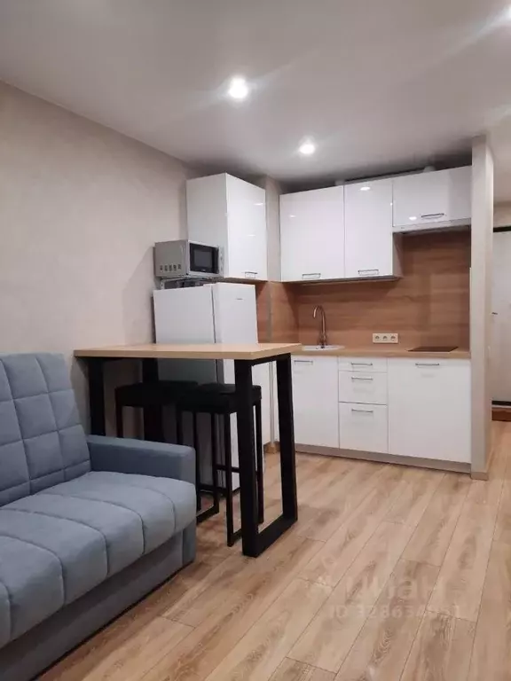 Студия Москва Алтуфьевское ш., 2К1 (19.0 м) - Фото 2