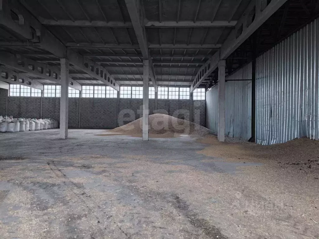 Склад в Воронежская область, Грибановский пгт ул. Мебельная, 1 (2578 ... - Фото 2