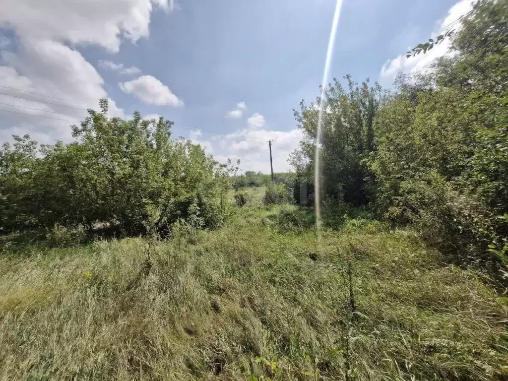 Участок в Белгородская область, Волоконовский район, Покровское с/пос, ... - Фото 2