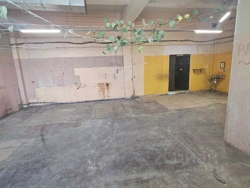 Склад в Санкт-Петербург Звенигородская ул., 9-11К (71 м) - Фото 2