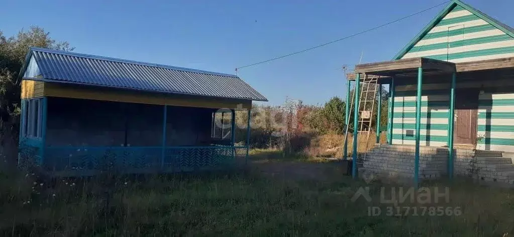 Дом в Амурская область, Благовещенск городской округ, с. Белогорье ул. ... - Фото 1