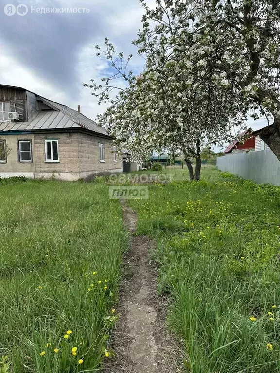 Дом в Липецк, микрорайон Ссёлки, Лесная улица, 51 (36.2 м) - Фото 0