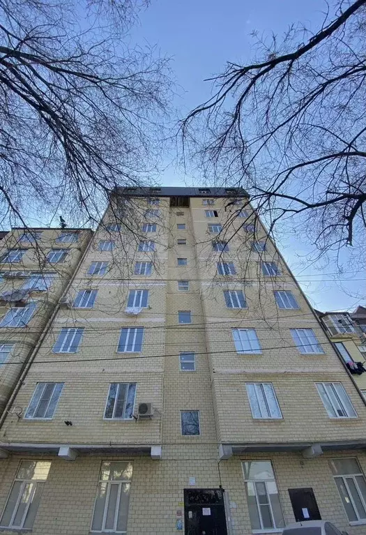 1-к. квартира, 56 м, 10/10 эт. - Фото 0