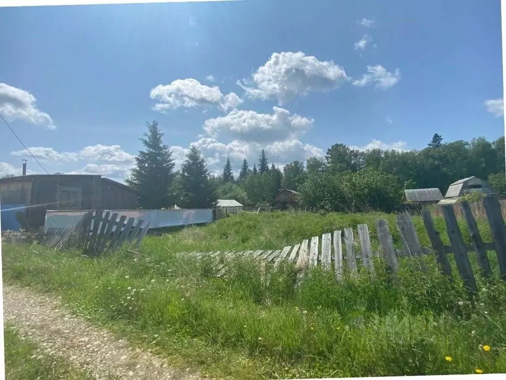 Участок в Иркутская область, Усольский район, Большееланское ... - Фото 1