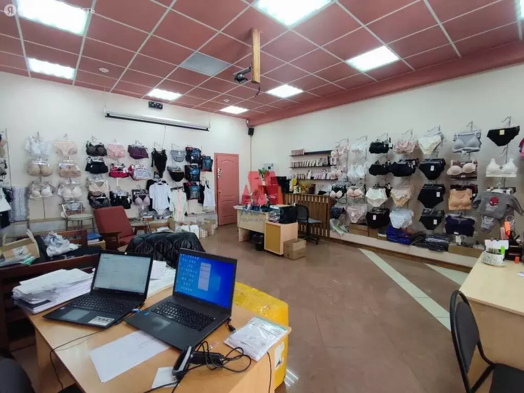 Помещение свободного назначения (510 м) - Фото 2