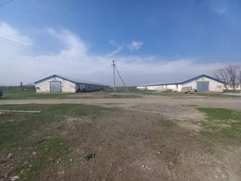 Помещение свободного назначения в Кабардино-Балкария, Прохладненский ... - Фото 1