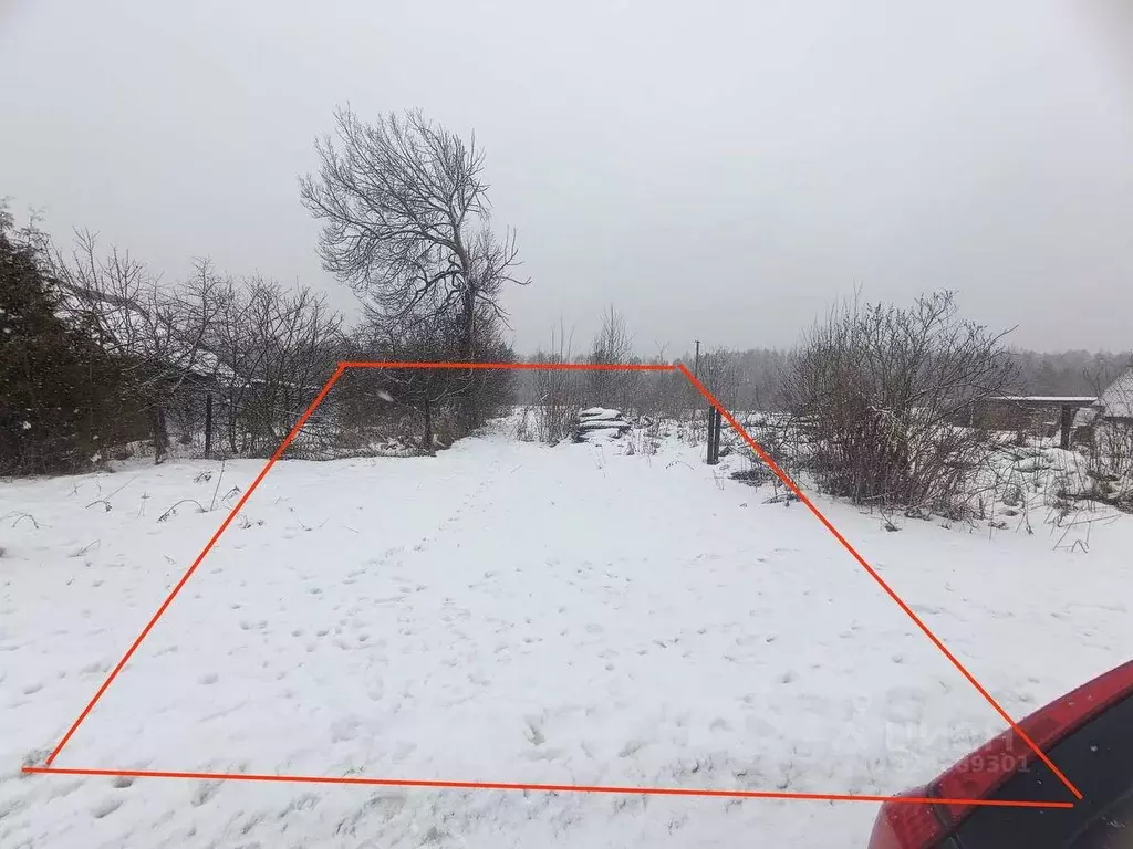 Участок в Новгородская область, Новгородский район, Ермолинское с/пос, ... - Фото 1