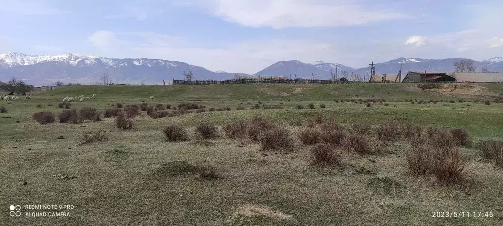 Участок в Алтай, Усть-Коксинский район, с. Горбуново  (20.0 сот.) - Фото 1