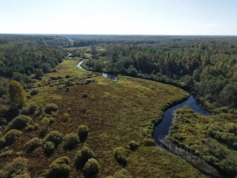 Участок в Тверская область, Калининский муниципальный округ, д. ... - Фото 2