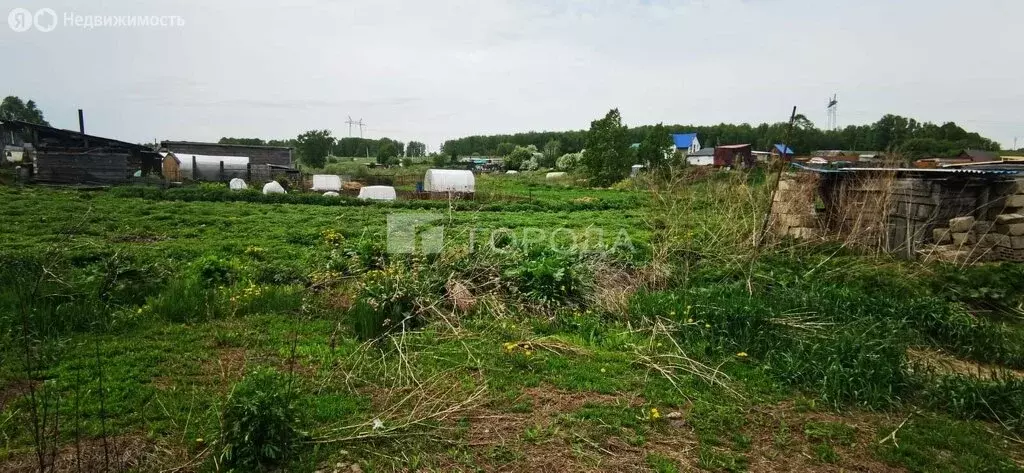 Участок в Искитимский район, Евсинский сельсовет, деревня Шадрино, ... - Фото 0