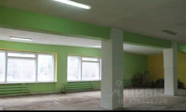 Помещение свободного назначения в Нижегородская область, Городецкий ... - Фото 1