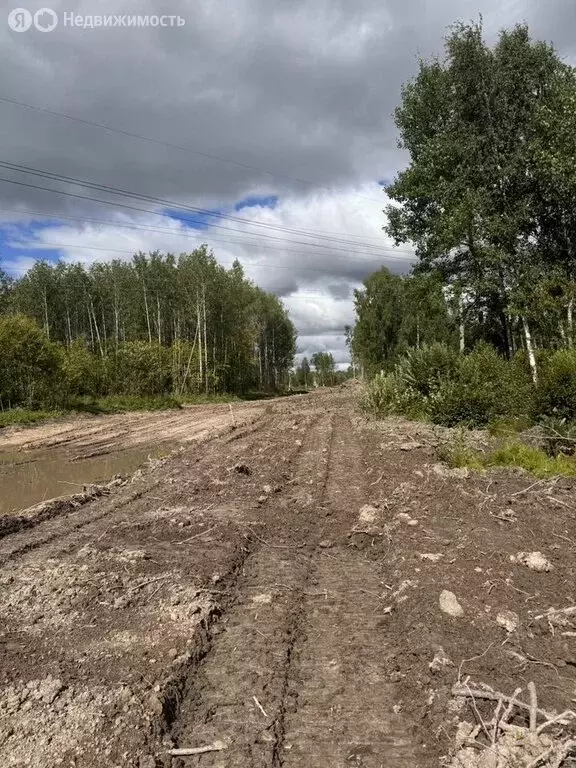 Участок в Тобольск, квартал Дом Отдыха (6.5 м) - Фото 2