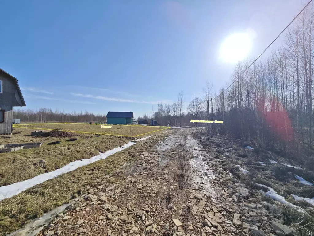 Участок в Новгородская область, Новгородский район, Ракомское с/пос, ... - Фото 2