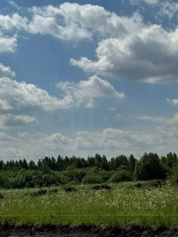 Участок в Московская область, Раменский городской округ, д. Глебово  ... - Фото 1