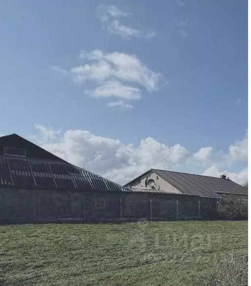 Дом в Крым, Сакский район, с. Веселовка ул. Новая, 65 (47 м) - Фото 2