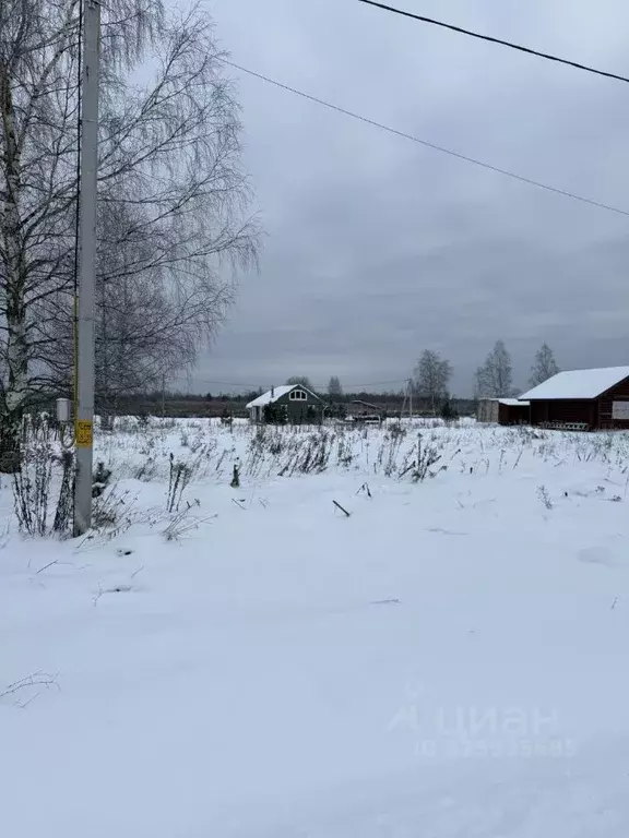 Участок в Псковская область, Псков пос. Учхоз, ул. Трояновского (15.0 ... - Фото 2