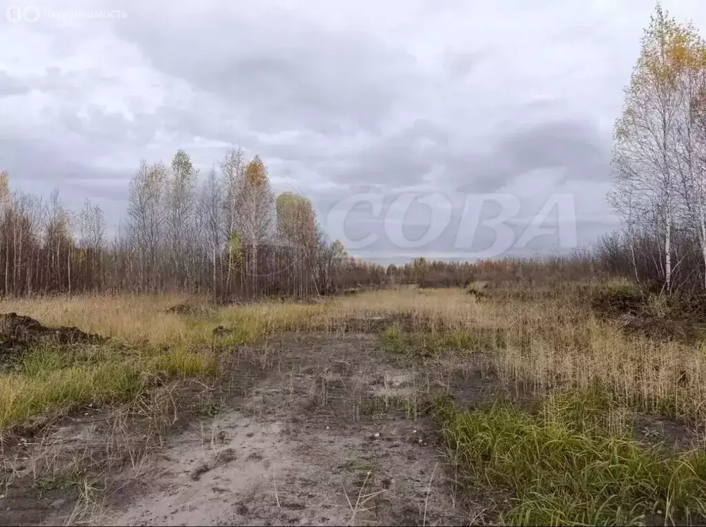 Участок в Тюменская область, Нижнетавдинский муниципальный округ, ... - Фото 1