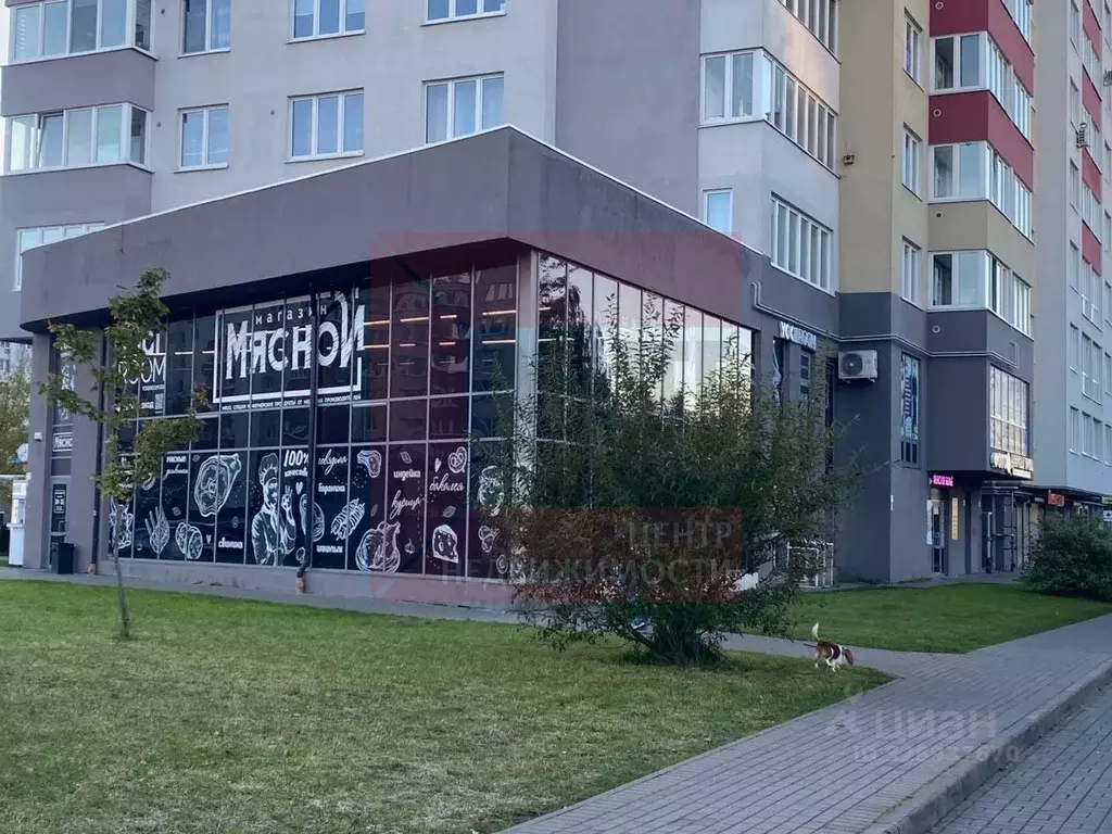 Помещение свободного назначения в Калининградская область, Калининград ... - Фото 1