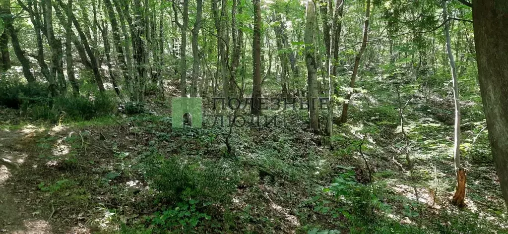 Участок в Крым, Ялта муниципальный округ, Виноградное пгт ул. Яузы ... - Фото 2