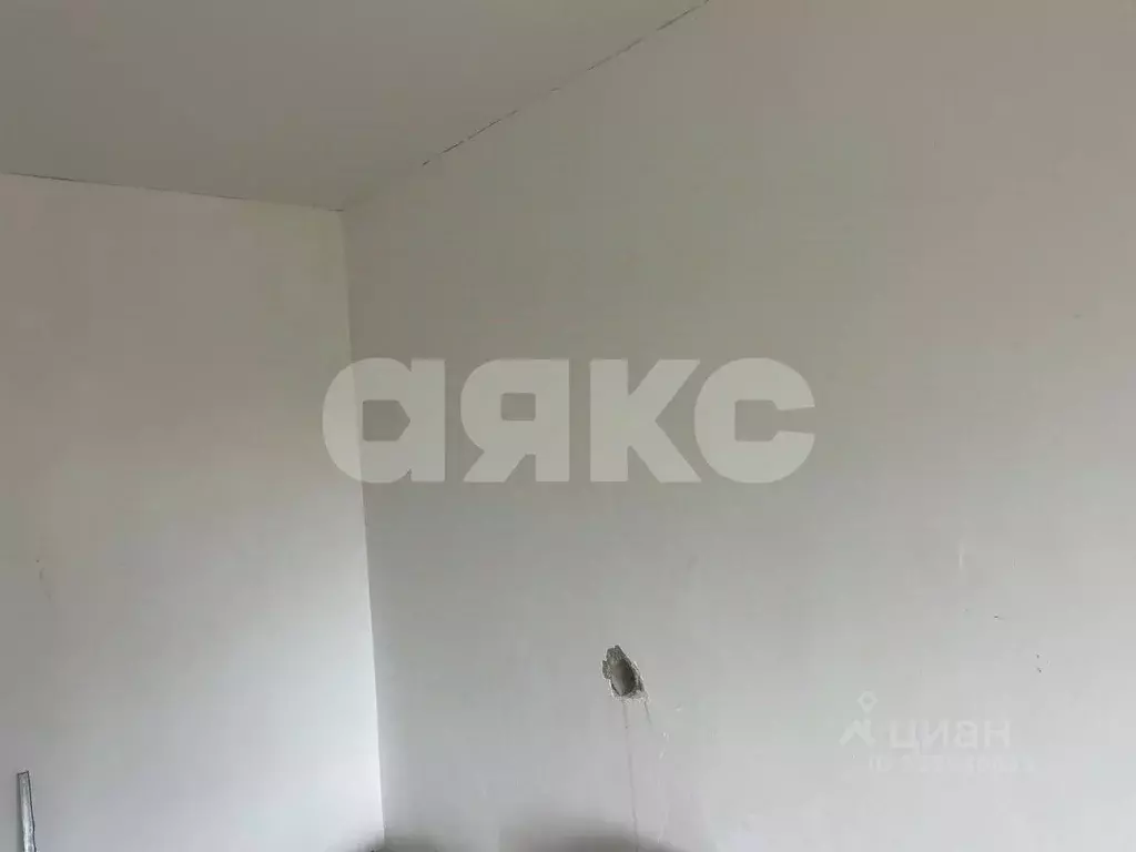 2-к кв. Московская область, Воскресенск городской округ, с. Федино 11 ... - Фото 2