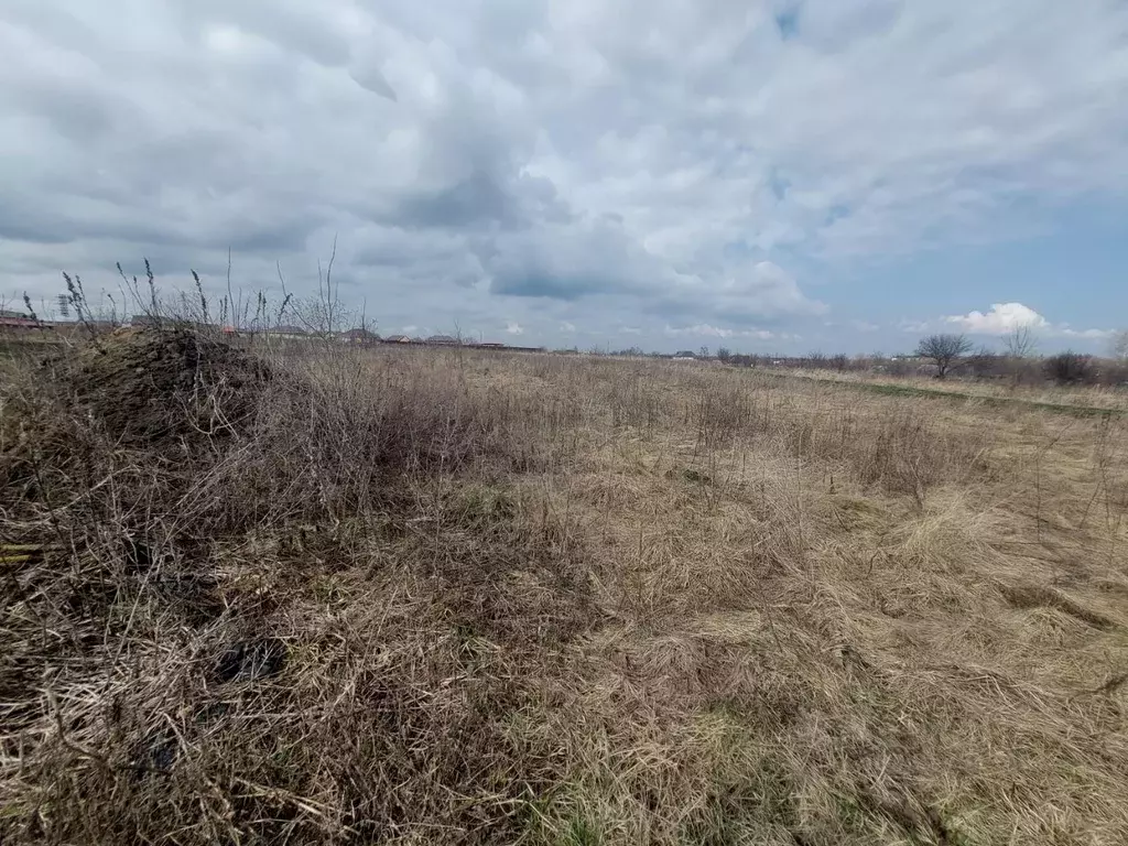 Участок в Курская область, Курский район, Щетинский сельсовет, д. ... - Фото 2