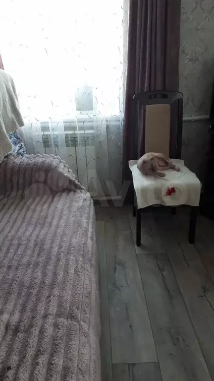 2-к. квартира, 53 м, 8/14 эт. - Фото 0